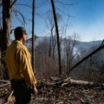 Federal Firefighter Safety Workers Reinstated: A Crucial Move for Workplace Safety