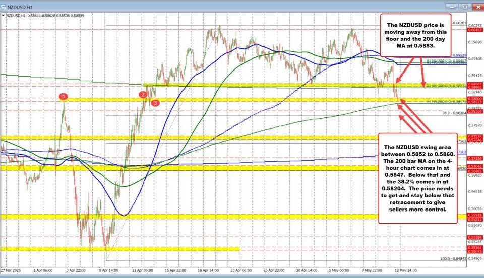Navigating the NZD/USD Rivals: Key Insights for Traders in 2025