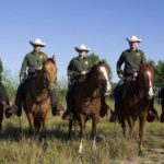 Navigating Changes in U.S. Border Patrol: Successes and Challenges in 2025
