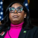 The Charge Against LaMonica McIver: Implications for Activism and Law in America