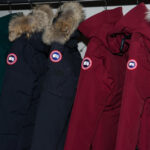 Canada Goose Surges 23%: A Look at Recent Stock Movements