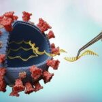 Trump's Executive Order: New Regulations for Gain-of-Function Research and Global Health Safety
